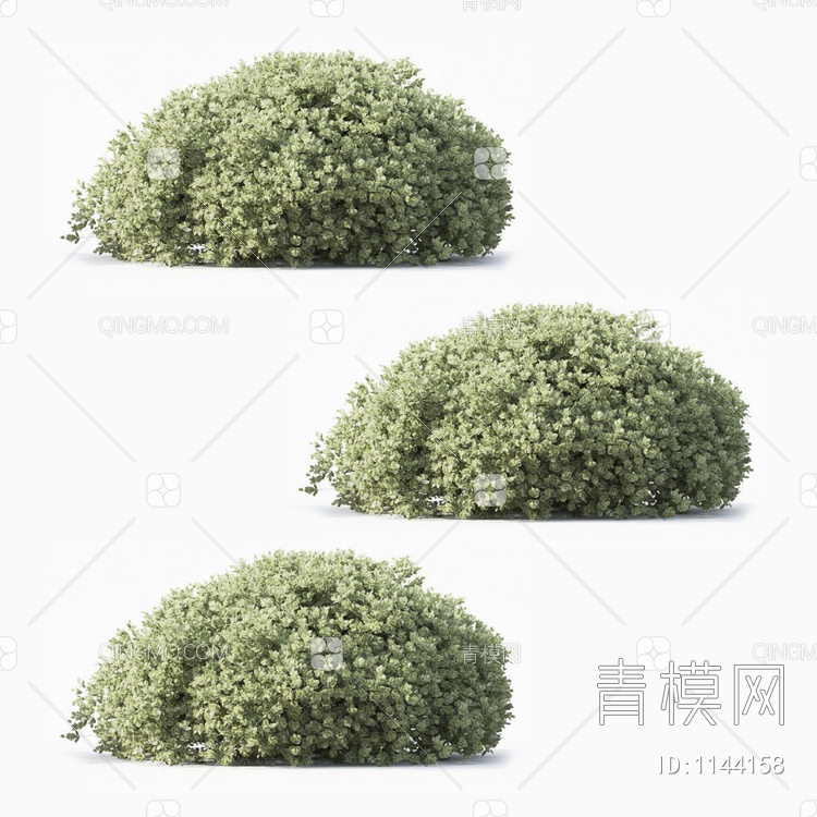 灌木3D模型下载【ID:1144158】