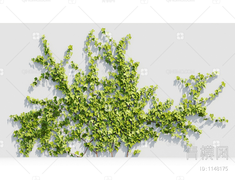 爬藤植物3D模型下载【ID:1148175】