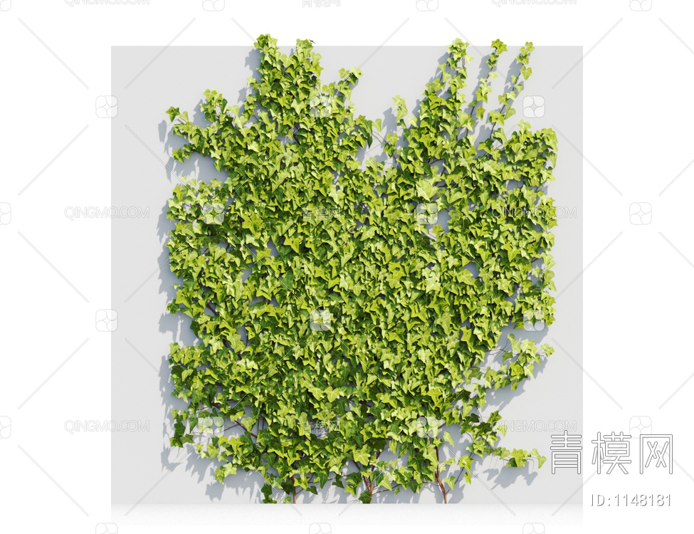 爬藤植物3D模型下载【ID:1148181】