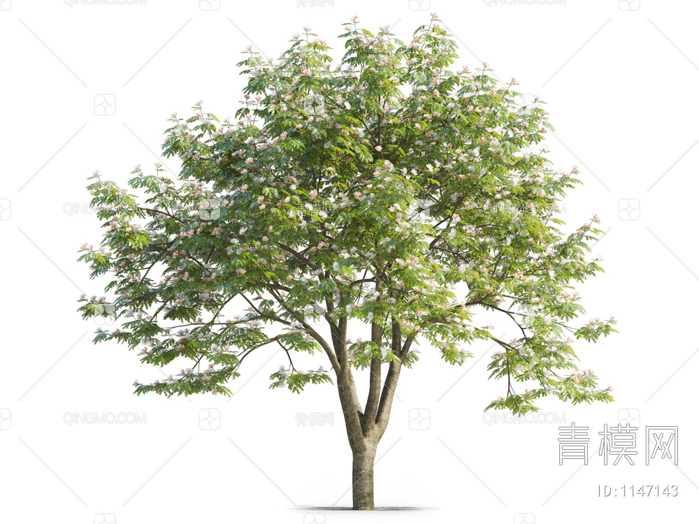 树 开花树 合欢树3D模型下载【ID:1147143】
