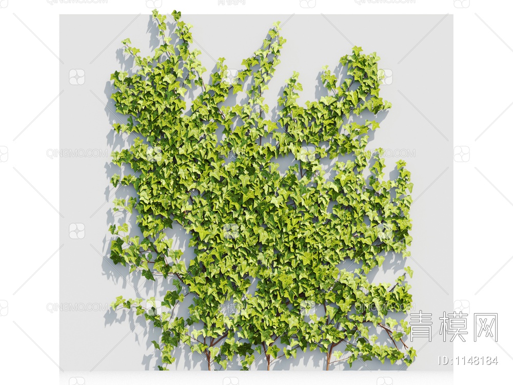 爬藤植物3D模型下载【ID:1148184】