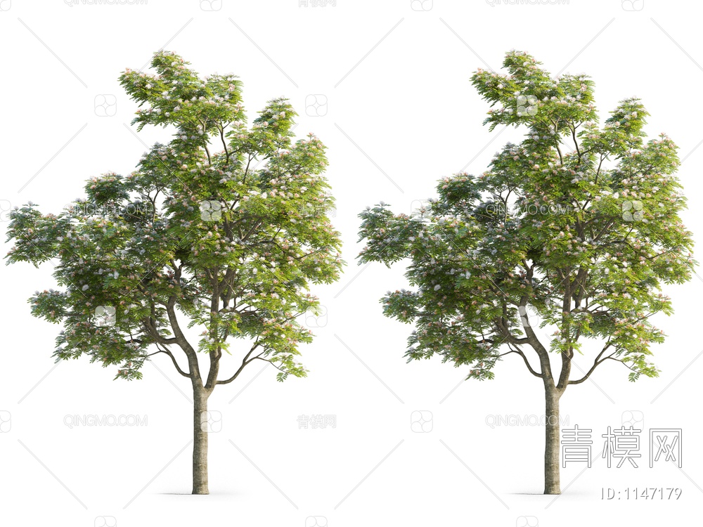 合欢树 合欢花3D模型下载【ID:1147179】