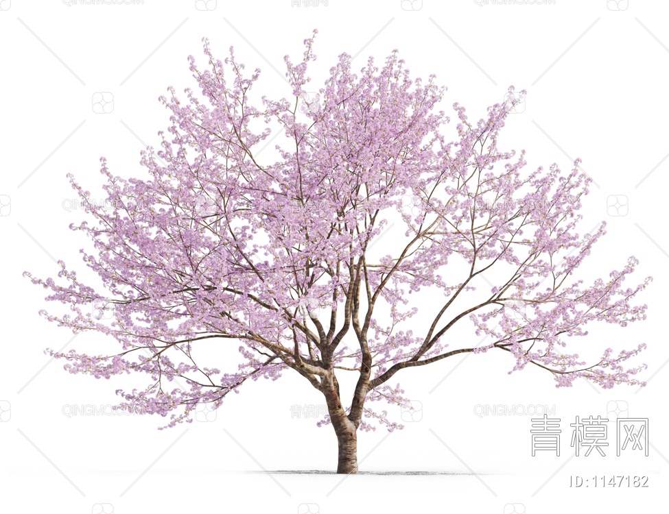 樱花树3D模型下载【ID:1147182】