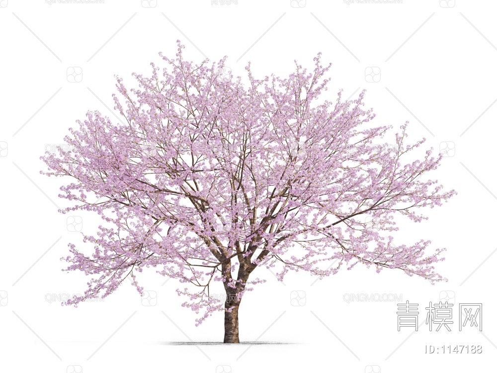 樱花树3D模型下载【ID:1147188】