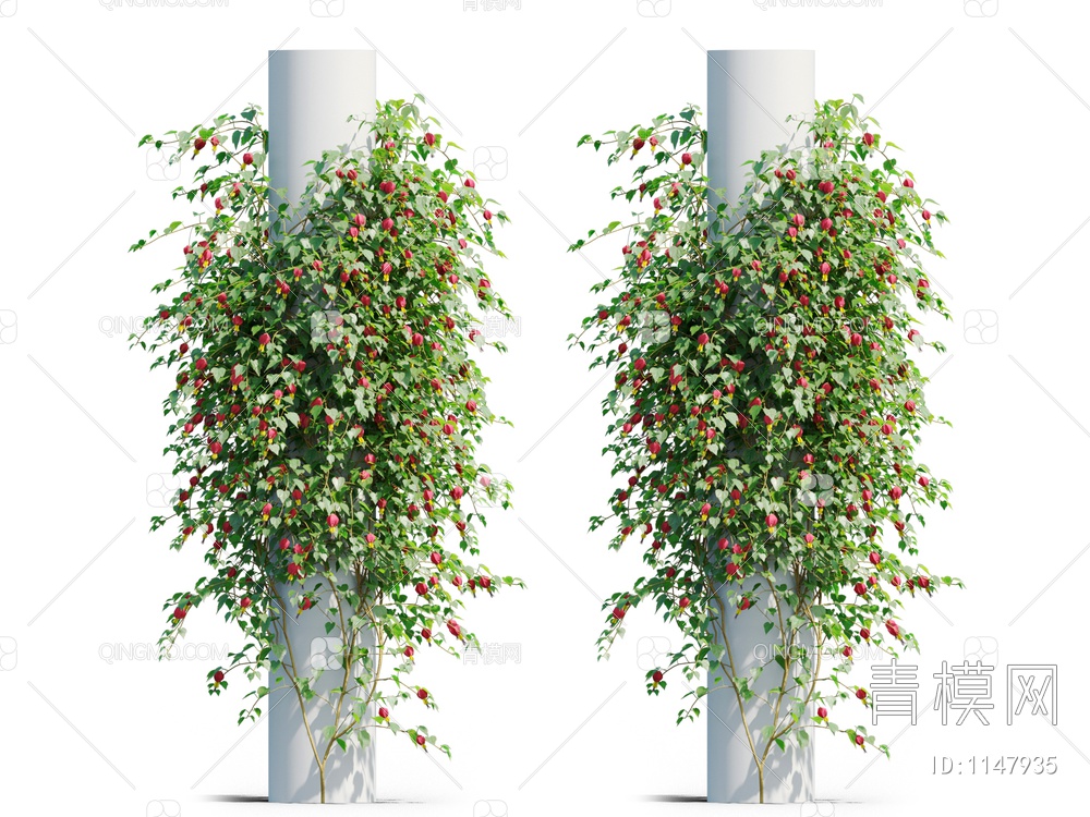 爬藤植物3D模型下载【ID:1147935】