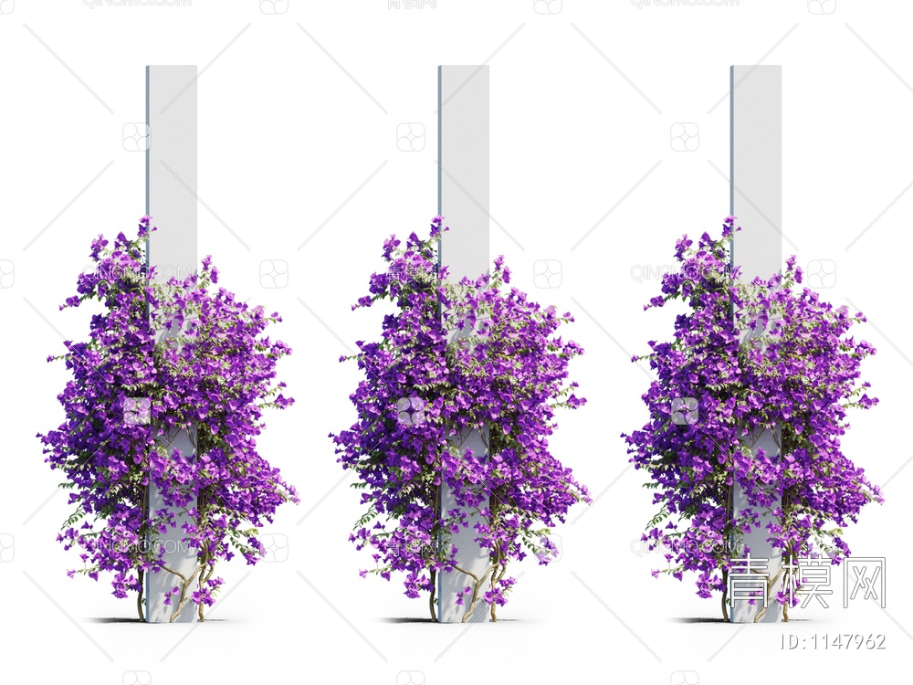 三角梅 爬藤植物3D模型下载【ID:1147962】