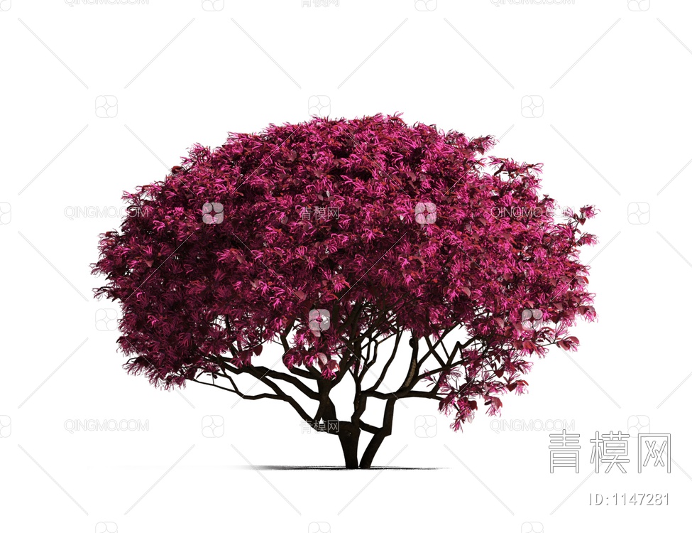 红花树 开花树3D模型下载【ID:1147281】