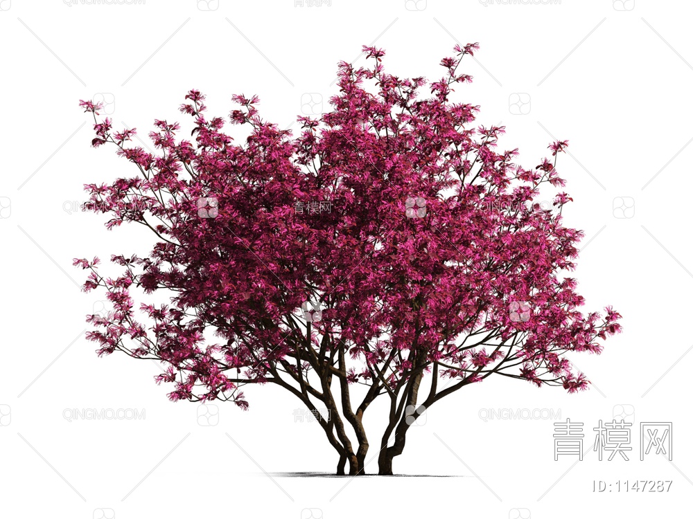 红花树 开花树3D模型下载【ID:1147287】