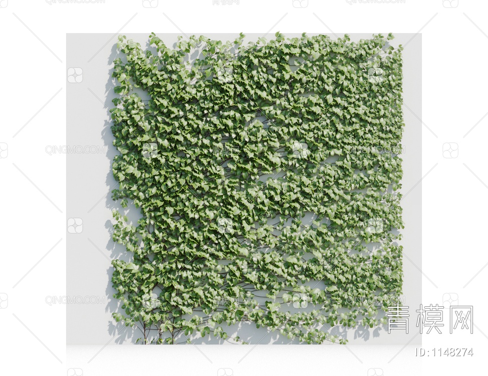 爬藤植物3D模型下载【ID:1148274】