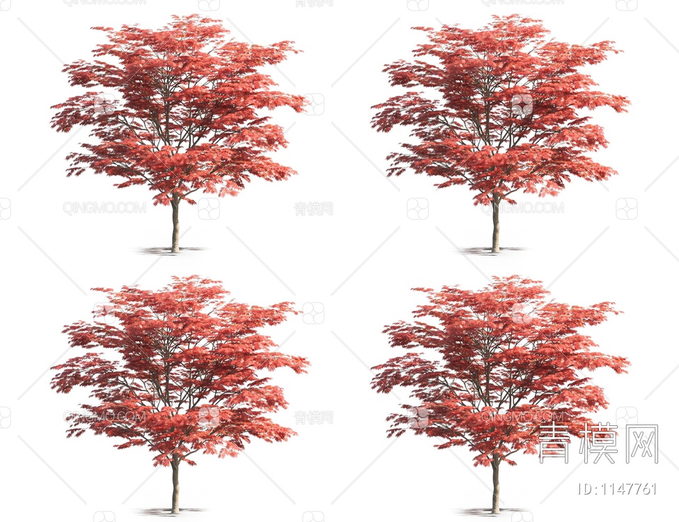 红枫树3D模型下载【ID:1147761】