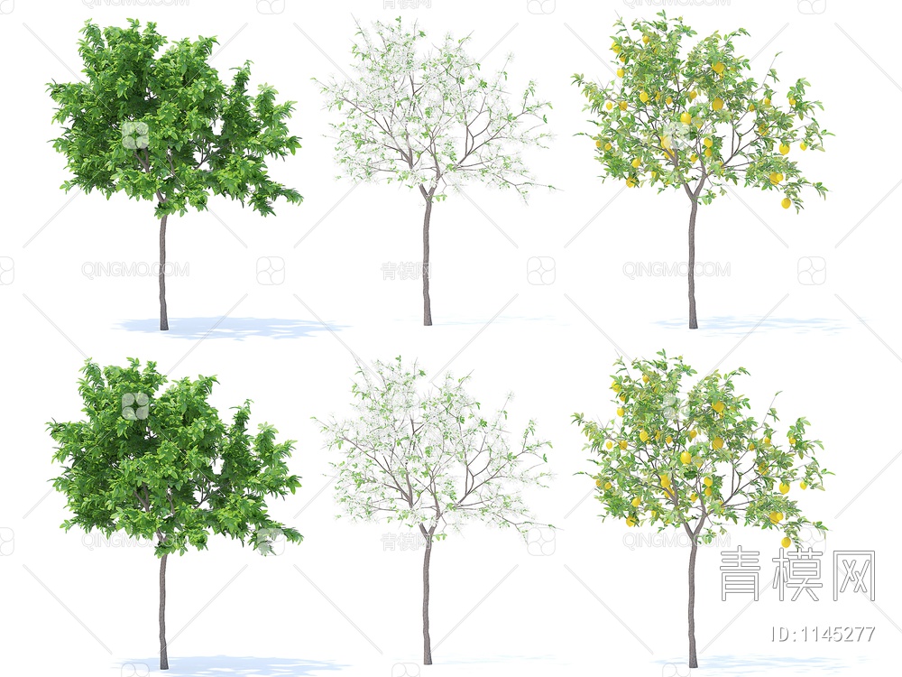 树 柠檬树 开花树3D模型下载【ID:1145277】