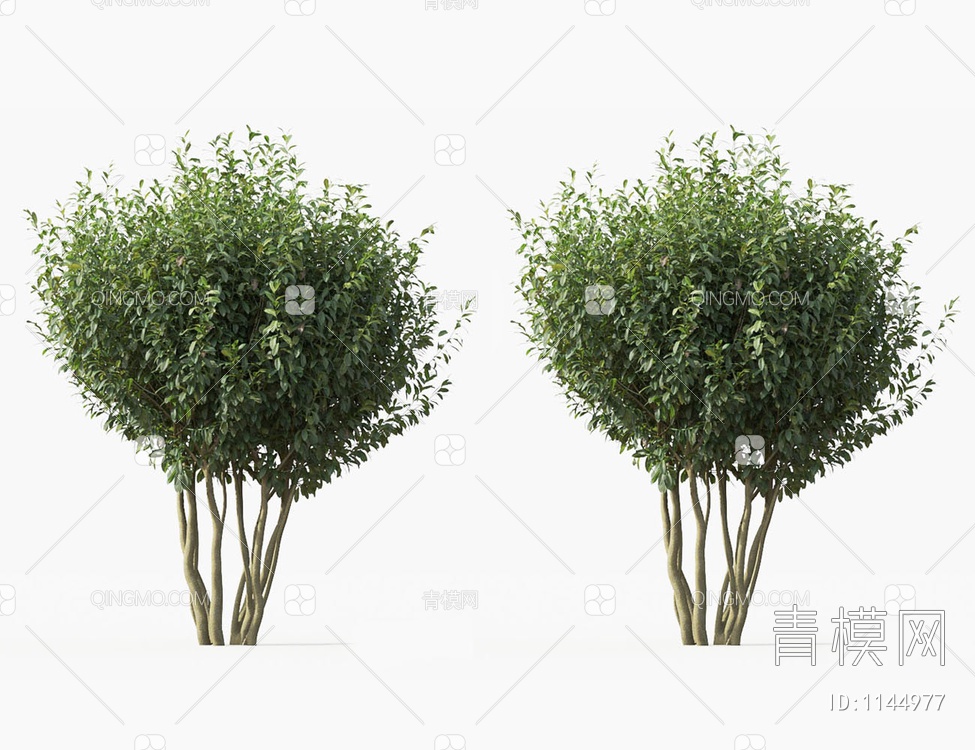 灌木3D模型下载【ID:1144977】