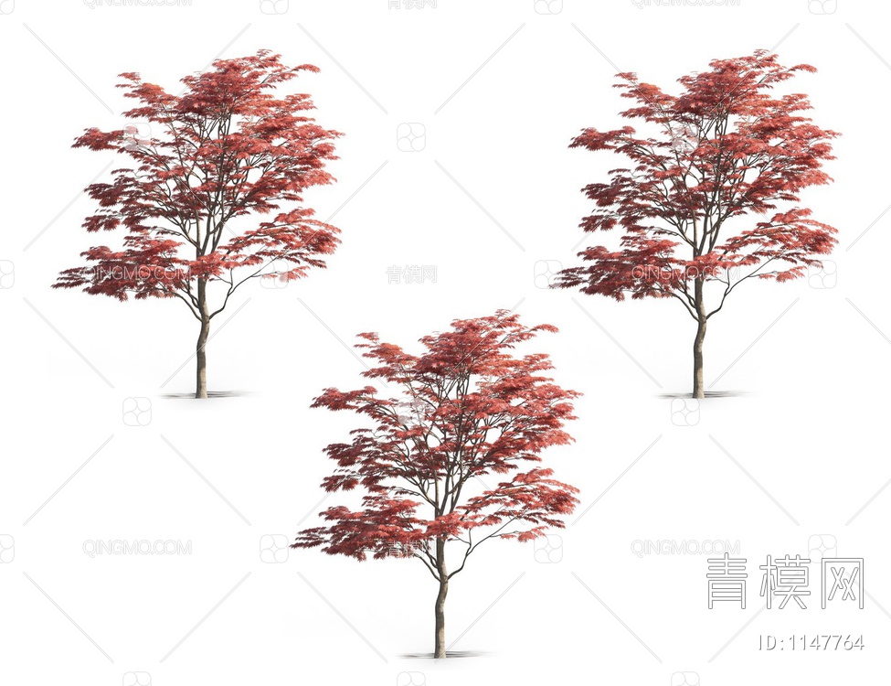 红枫 枫树3D模型下载【ID:1147764】