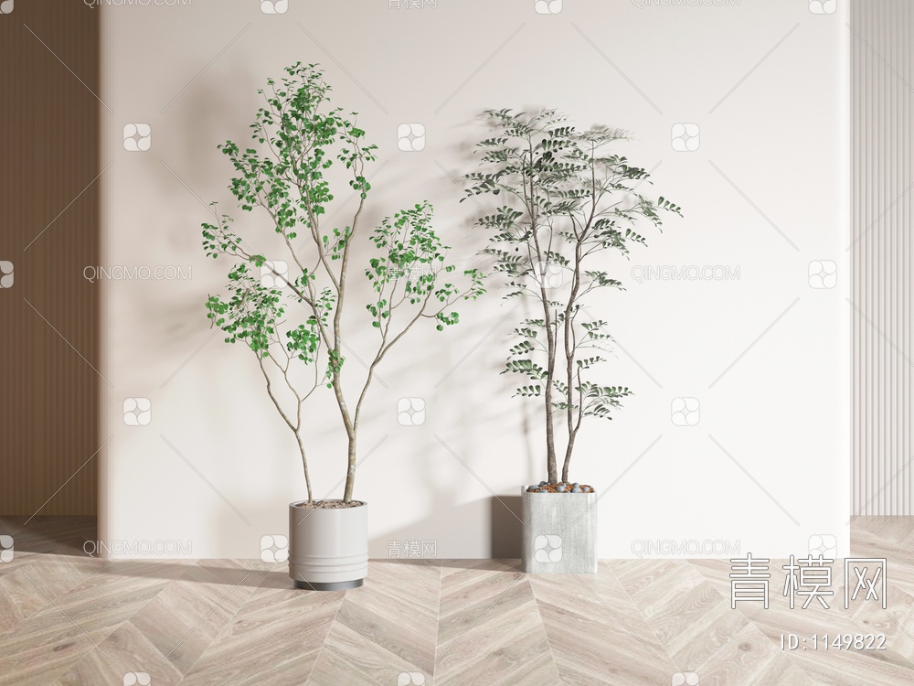 植物盆栽3D模型下载【ID:1149822】