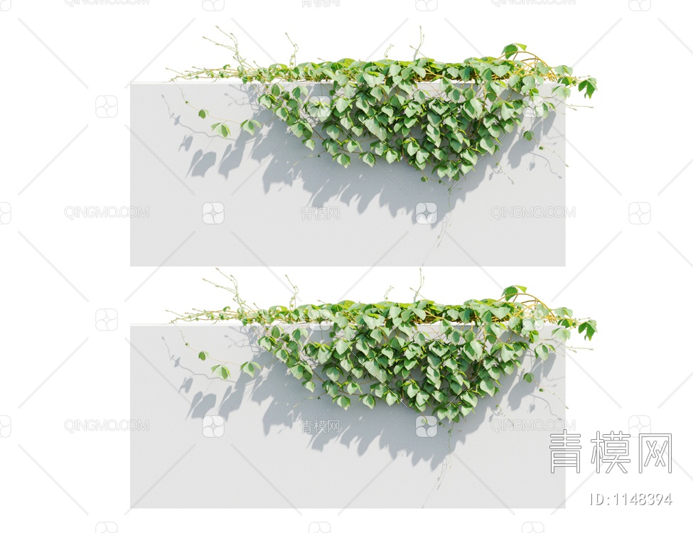 爬藤植物3D模型下载【ID:1148394】