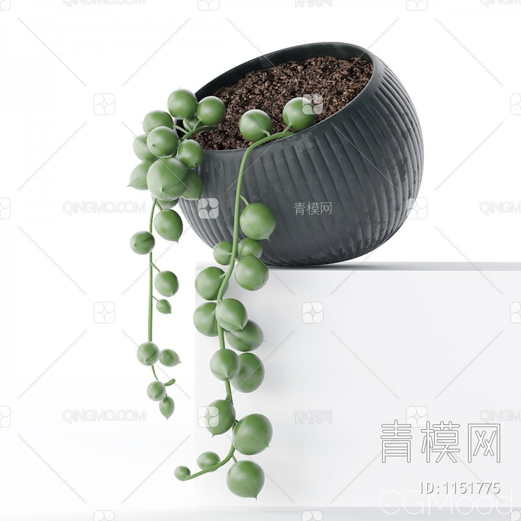 植物3D模型下载【ID:1151775】