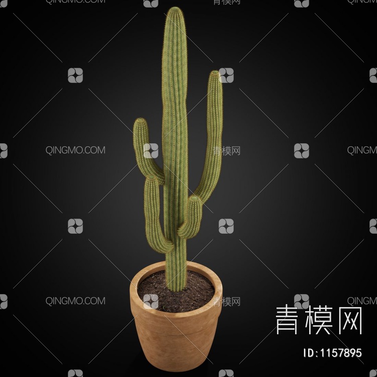 植物系列仙人掌3D模型下载【ID:1157895】