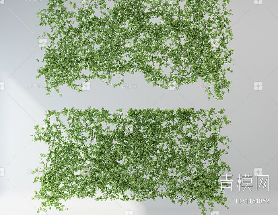 植物墙藤3D模型下载【ID:1161852】