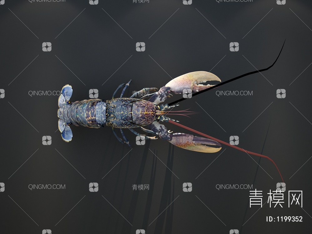 龙虾 水产3D模型下载【ID:1199352】