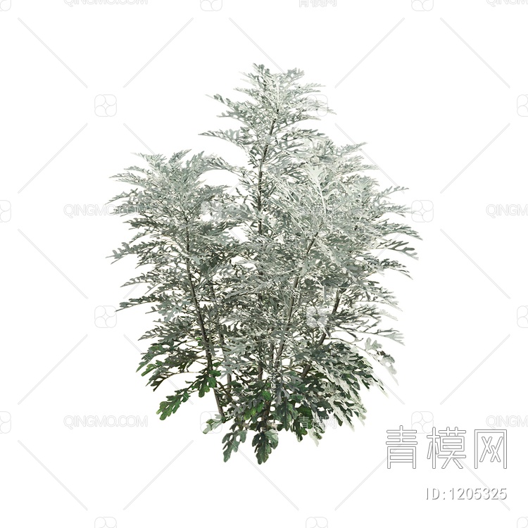 雪绿植物3D模型下载【ID:1205325】