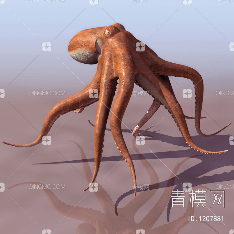 章鱼 水生动物 乌贼3D模型下载【ID:1207881】