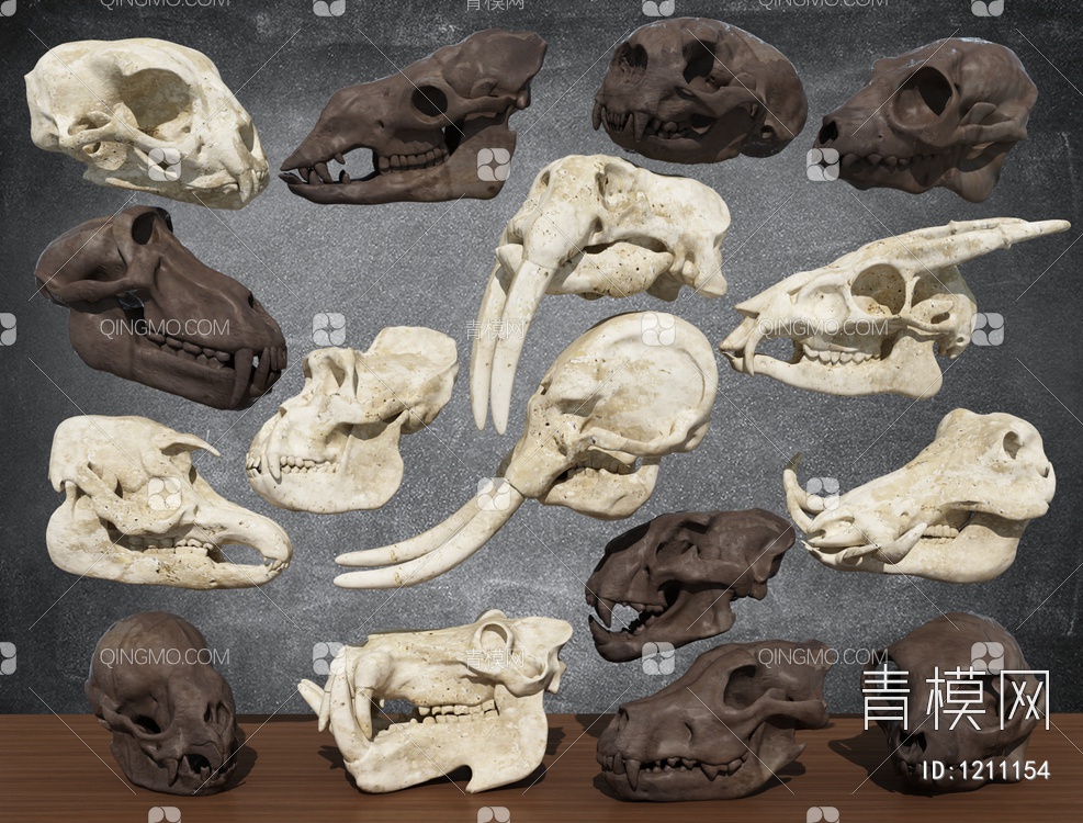 恐龙化石 头骨 化石3D模型下载【ID:1211154】