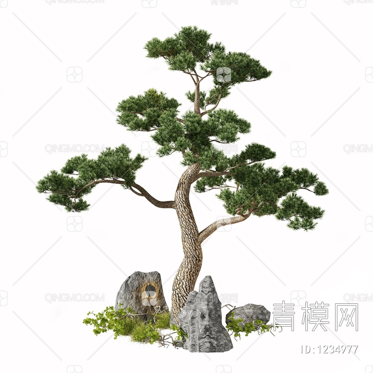 松树3D模型下载【ID:1234977】