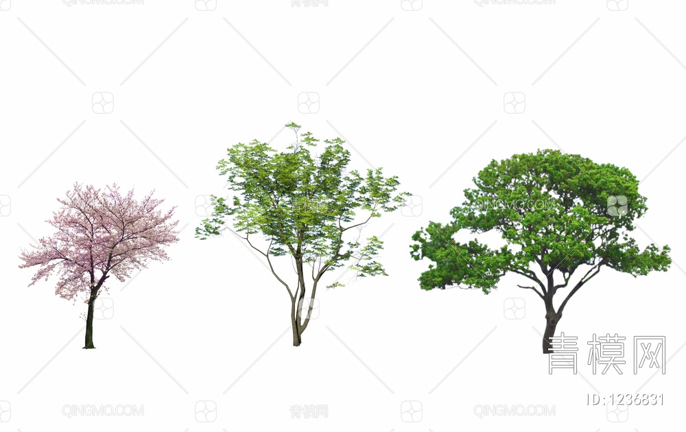 2D景观树SU模型下载【ID:1236831】