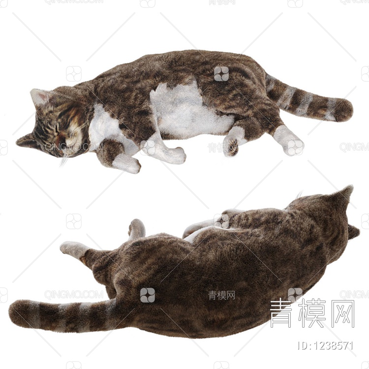 宠物猫咪3D模型下载【ID:1238571】