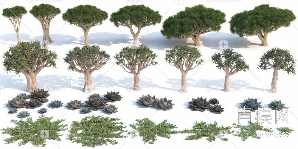 灌木  树 多肉3D模型下载【ID:1243959】