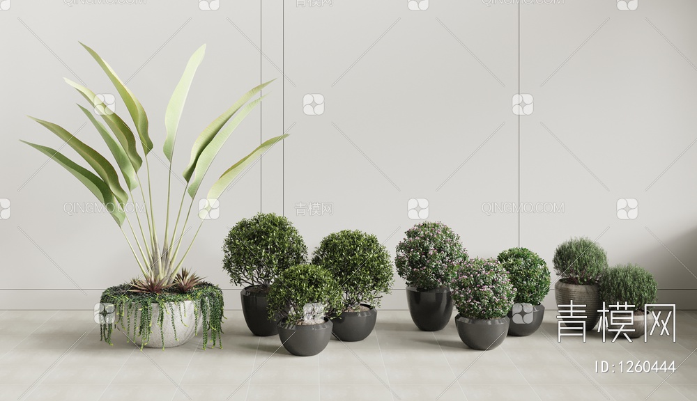 盆栽植物3D模型下载【ID:1260444】