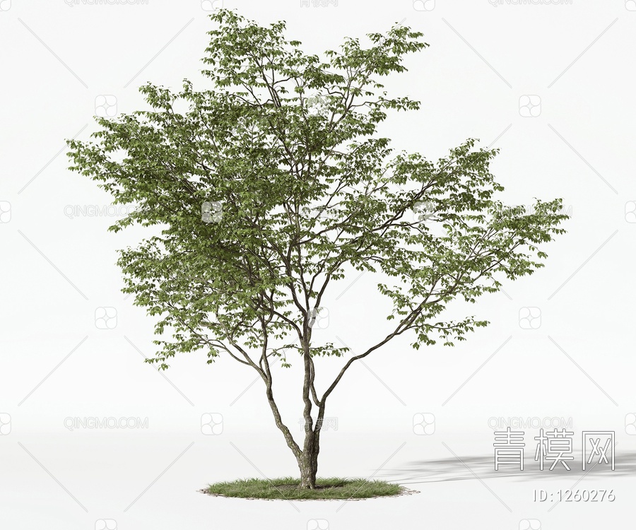 树木3D模型下载【ID:1260276】