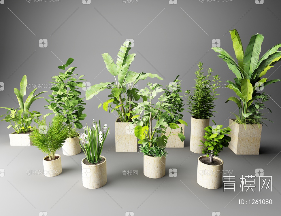 盆栽绿植花草植物3D模型下载【ID:1261080】