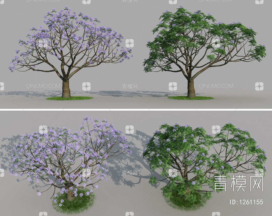 景观树 蓝花楹 植物3D模型下载【ID:1261155】