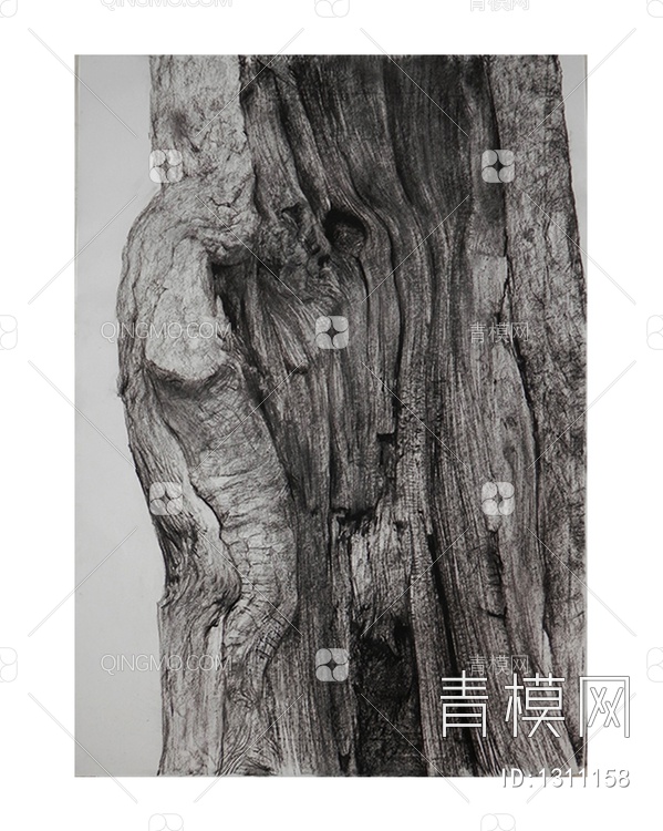 树木素描装饰画贴图下载【ID:1311158】