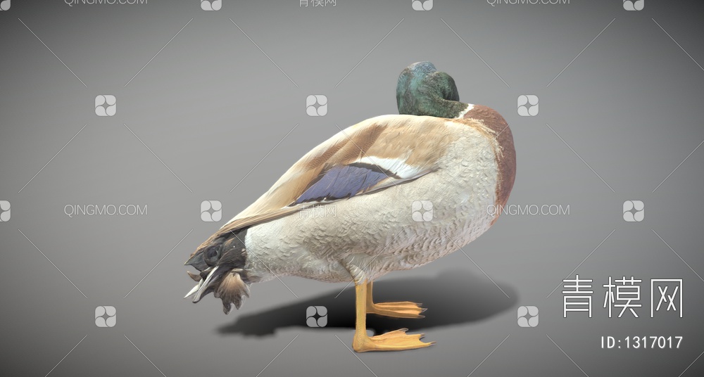 鸭子3D模型下载【ID:1317017】
