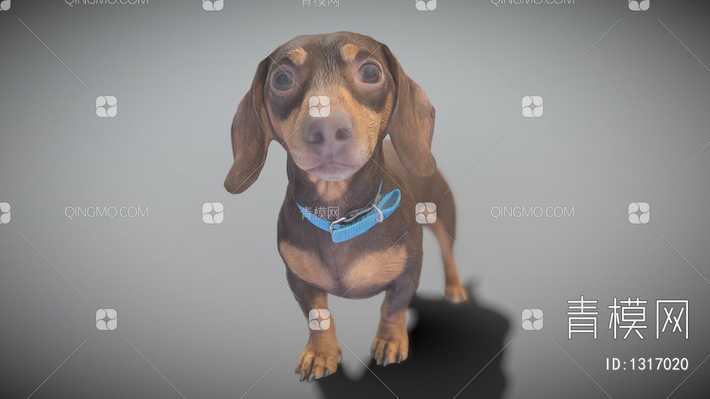 腊肠犬3D模型下载【ID:1317020】