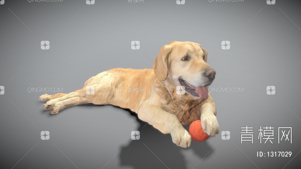 金毛猎犬3D模型下载【ID:1317029】