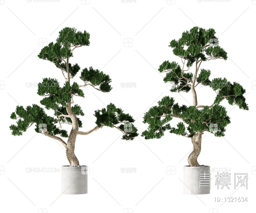 松树盆栽3D模型下载【ID:1321634】