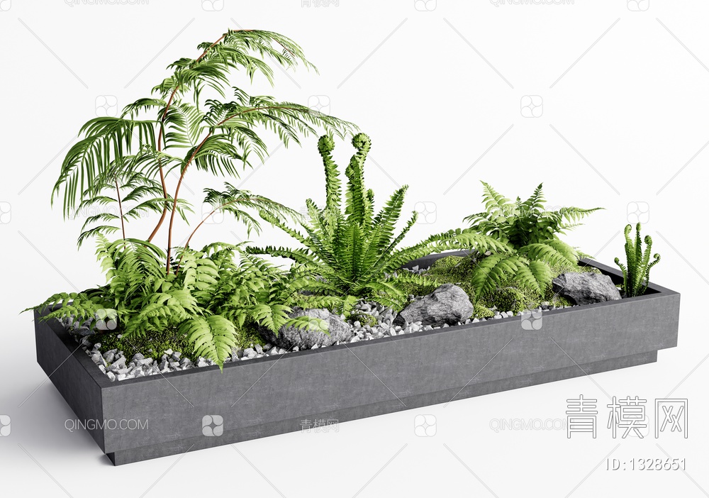 蕨类植物盆栽 花坛花钵3D模型下载【ID:1328651】