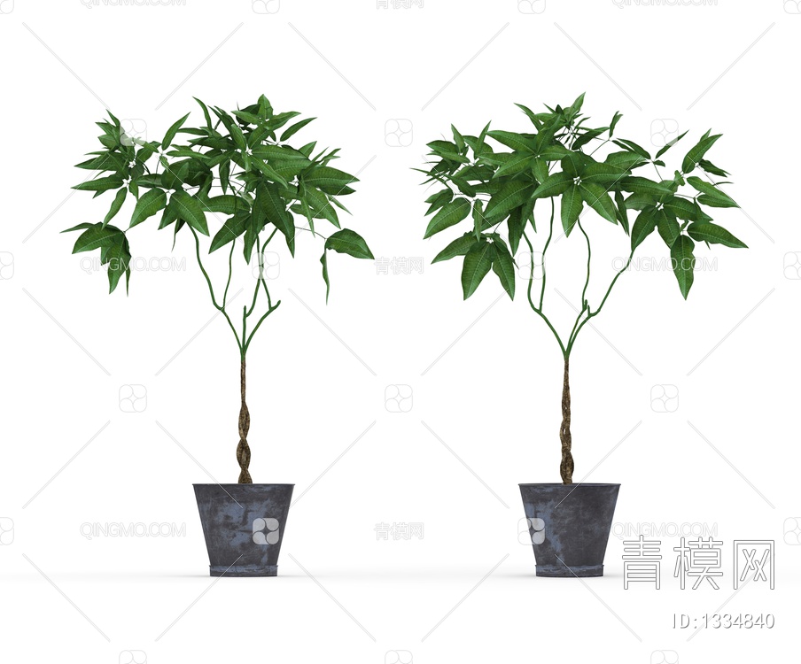 绿色植物 植物盆栽3D模型下载【ID:1334840】