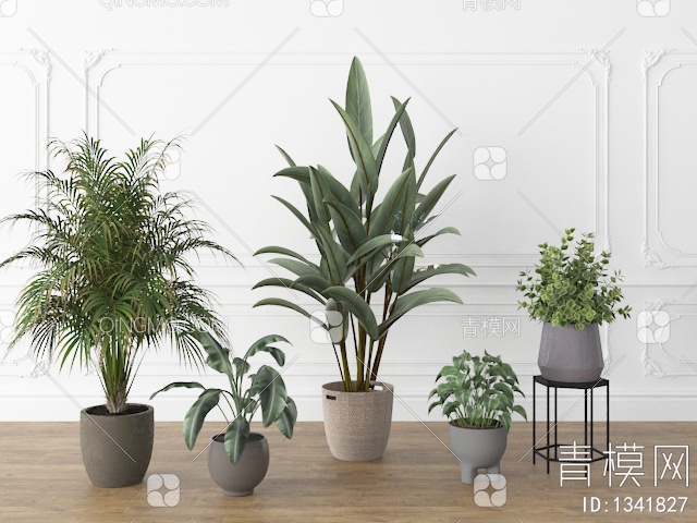 盆栽植物3D模型下载【ID:1341827】
