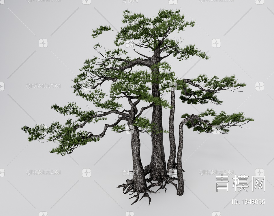 罗汉松 造型松树SU模型下载【ID:1348055】