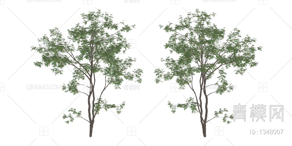 景观树 乔木 造型树SU模型下载【ID:1348007】
