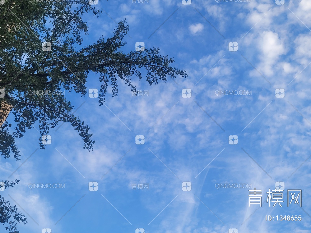 蓝天白云，银杏贴图下载【ID:1348655】