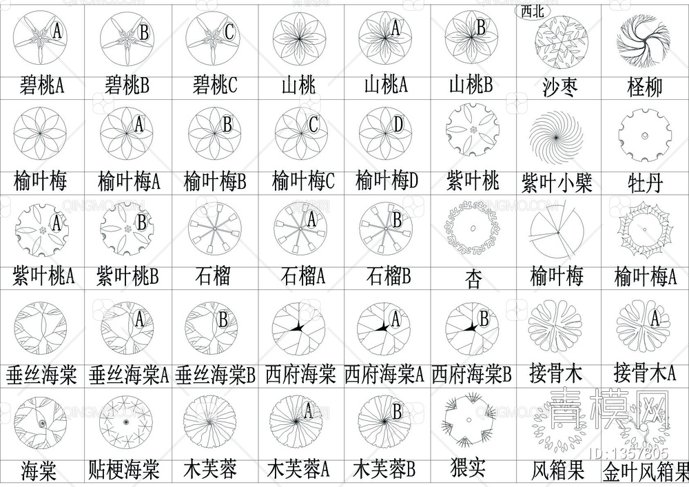 北部植物平面图块【ID:1357805】