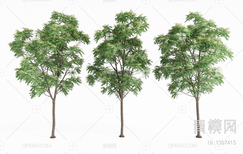 景观树 乔木 大树 庭院景观树 行道树3D模型下载【ID:1387415】