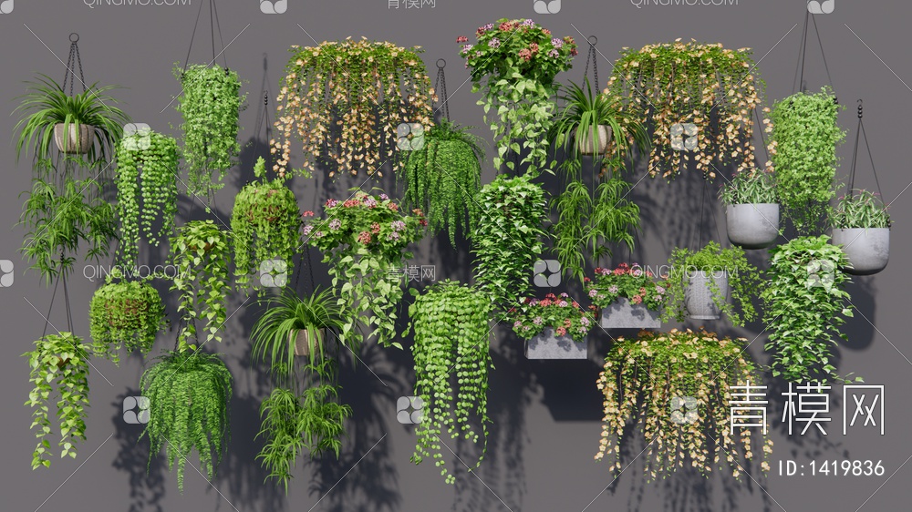 藤蔓吊篮 植物盆栽 绿萝 牵牛花 藤蔓 植物组合3D模型下载【ID:1419836】