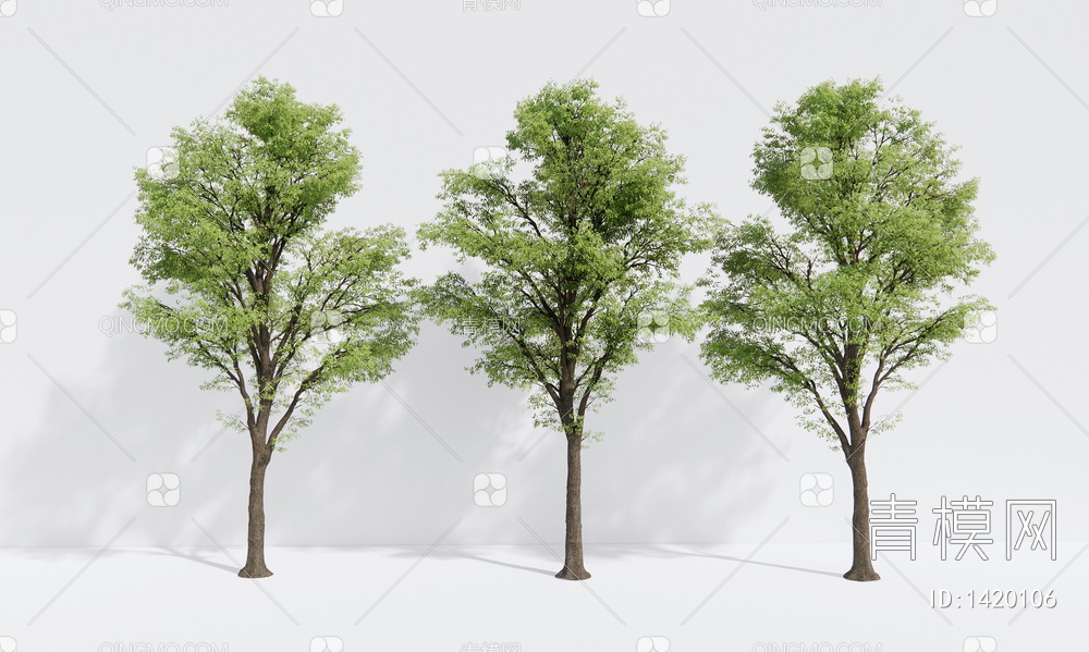 景观树 乔木大树 树木 造景树SU模型下载【ID:1420106】