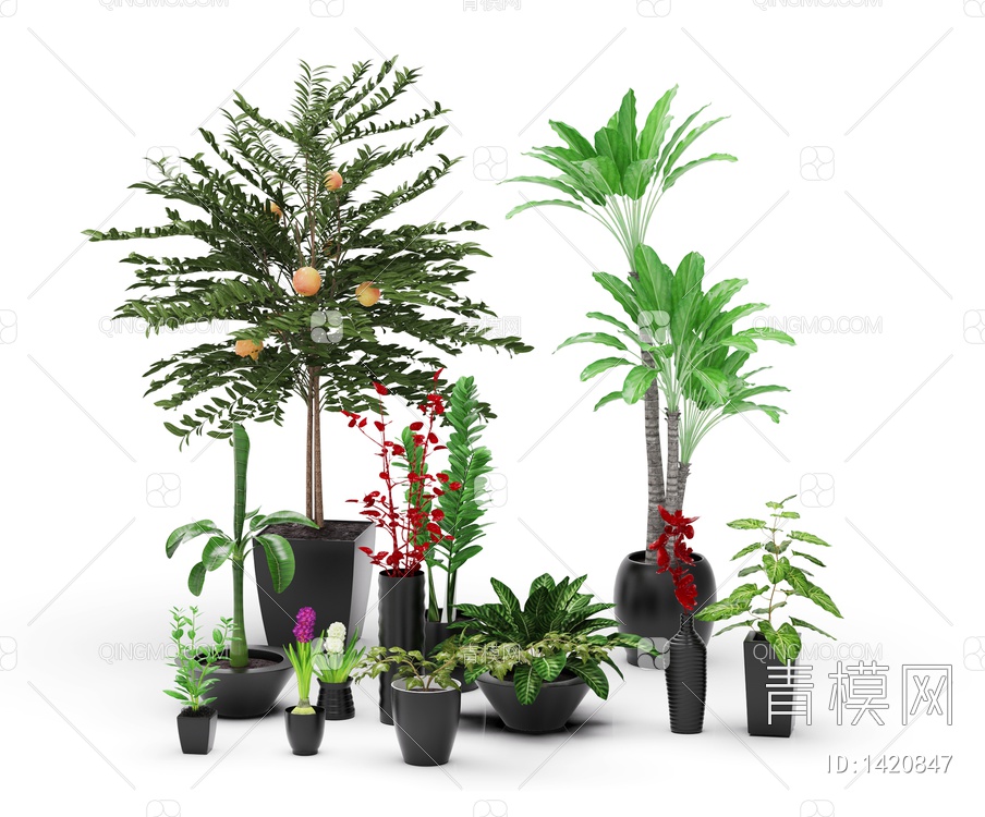 绿色植物 植物盆栽3D模型下载【ID:1420847】